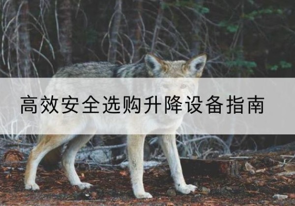 昌乐升降货梯厂家推荐-*安全选购升降设备指南