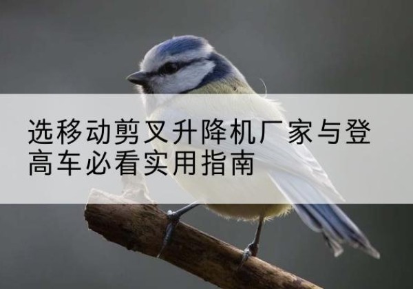 昌乐电动升降机厂家-选移动剪叉升降机厂家与登高车必看实用指南